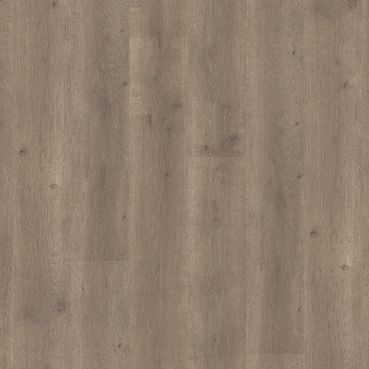 Laminaat Queens Collection Grijs Bruin Eiken