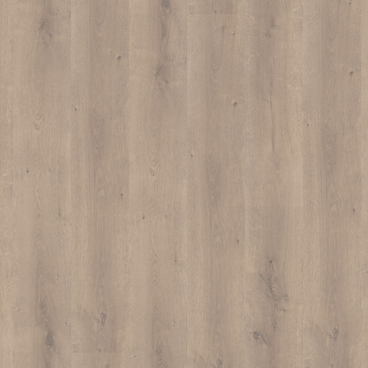 Laminaat Queens Collection Beige Eiken