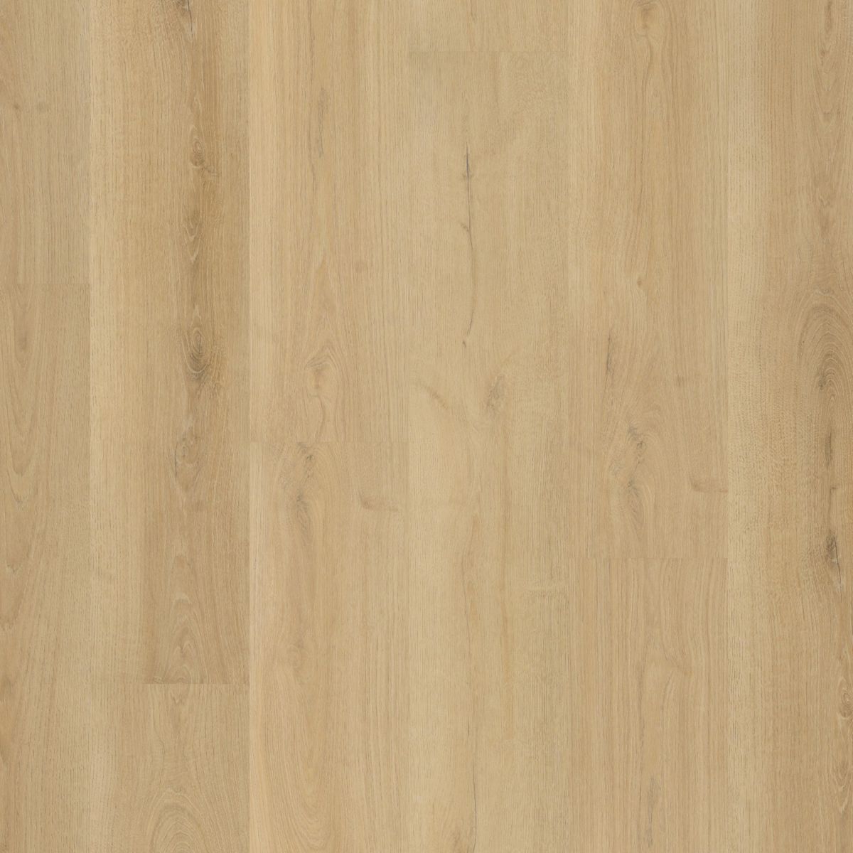 Greenford dryback natural