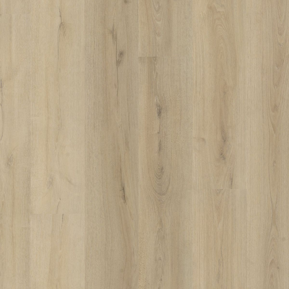 Greenford dryback smoky