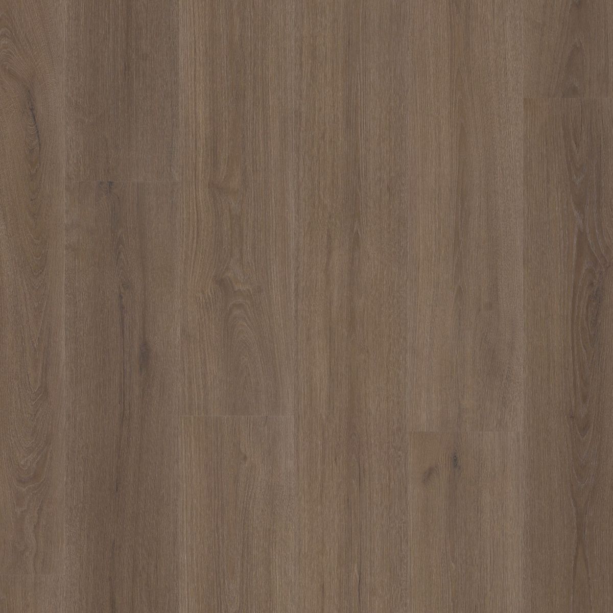 Greenford dryback brown