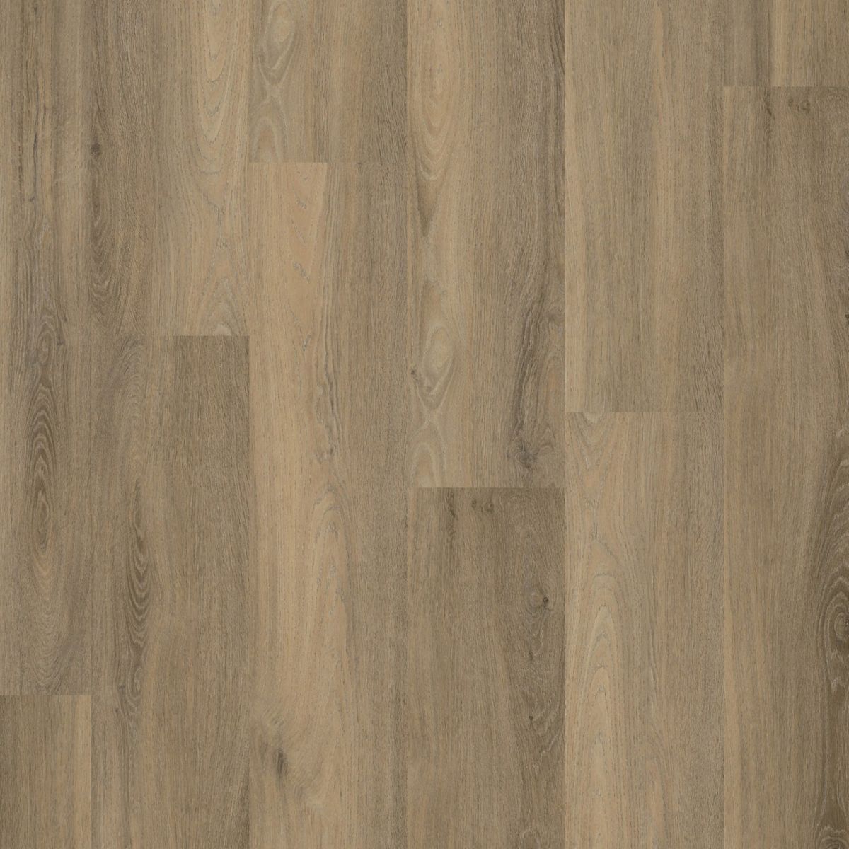 PVC Paddington Collection Smoky Silent Rigid Click