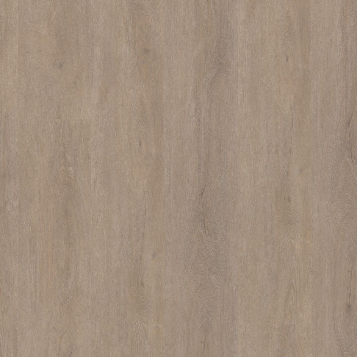 PVC Parramatta Collection Light Oak Click