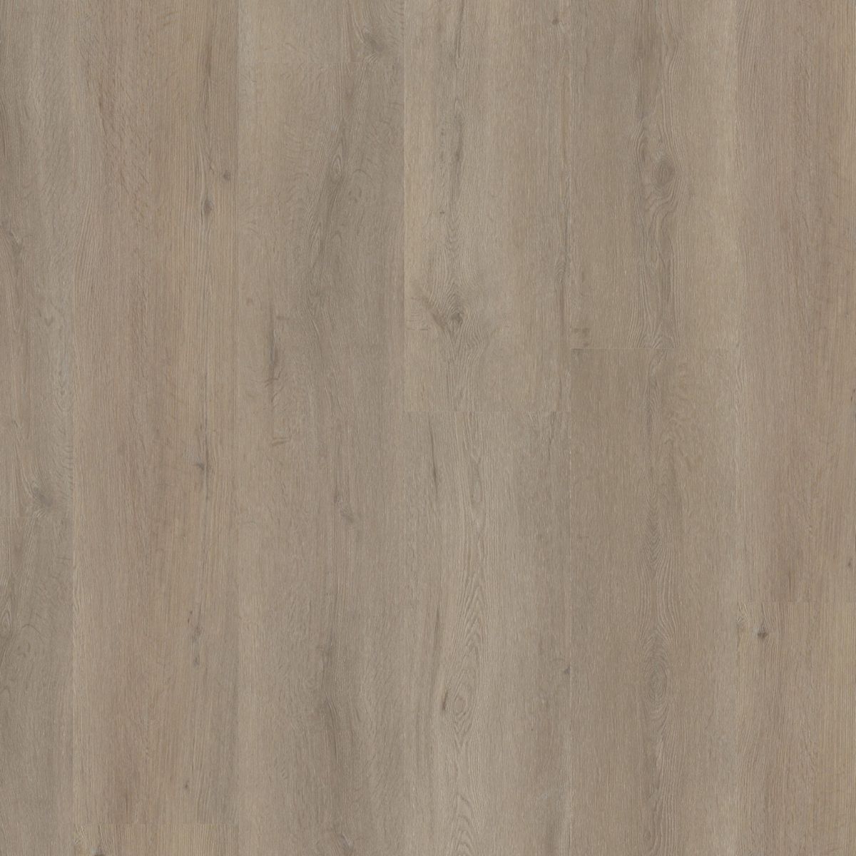 PVC Leyton Collection Light Oak Click
