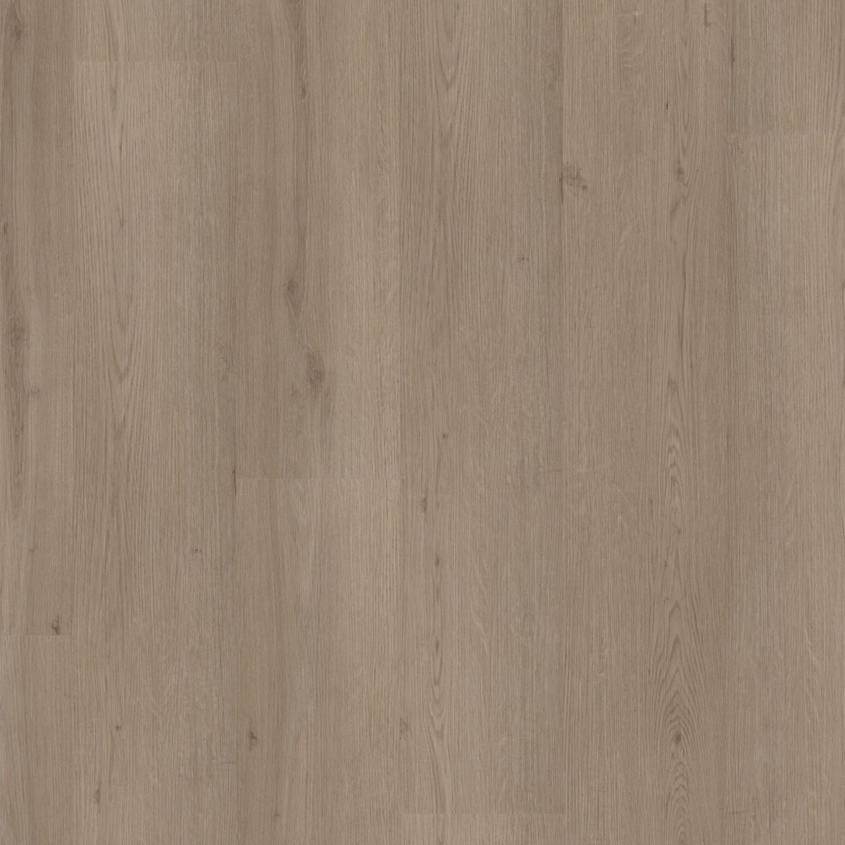 PVC Barnet Collection Smoky Dryback