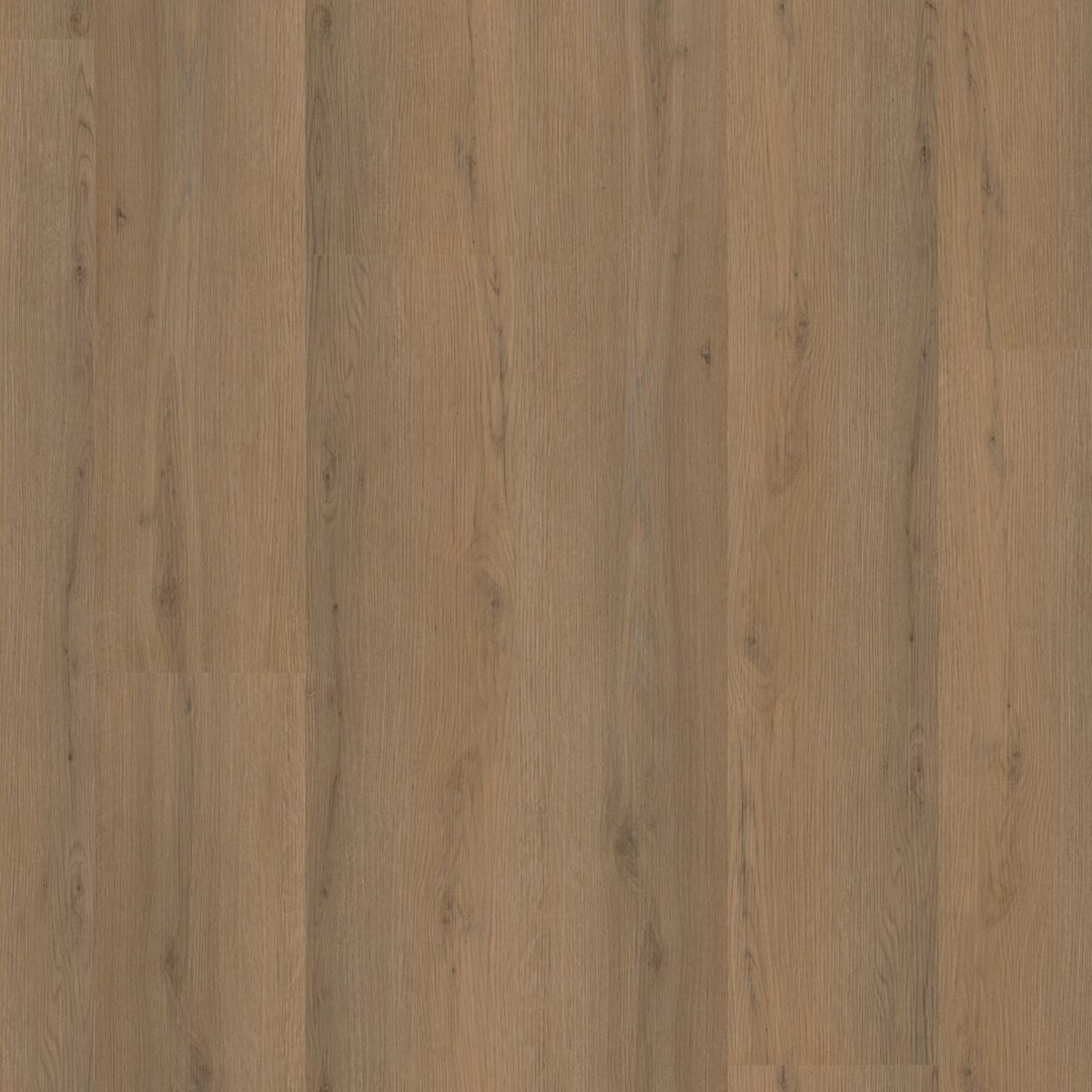 PVC Barnet Collection Dark Oak Dryback 