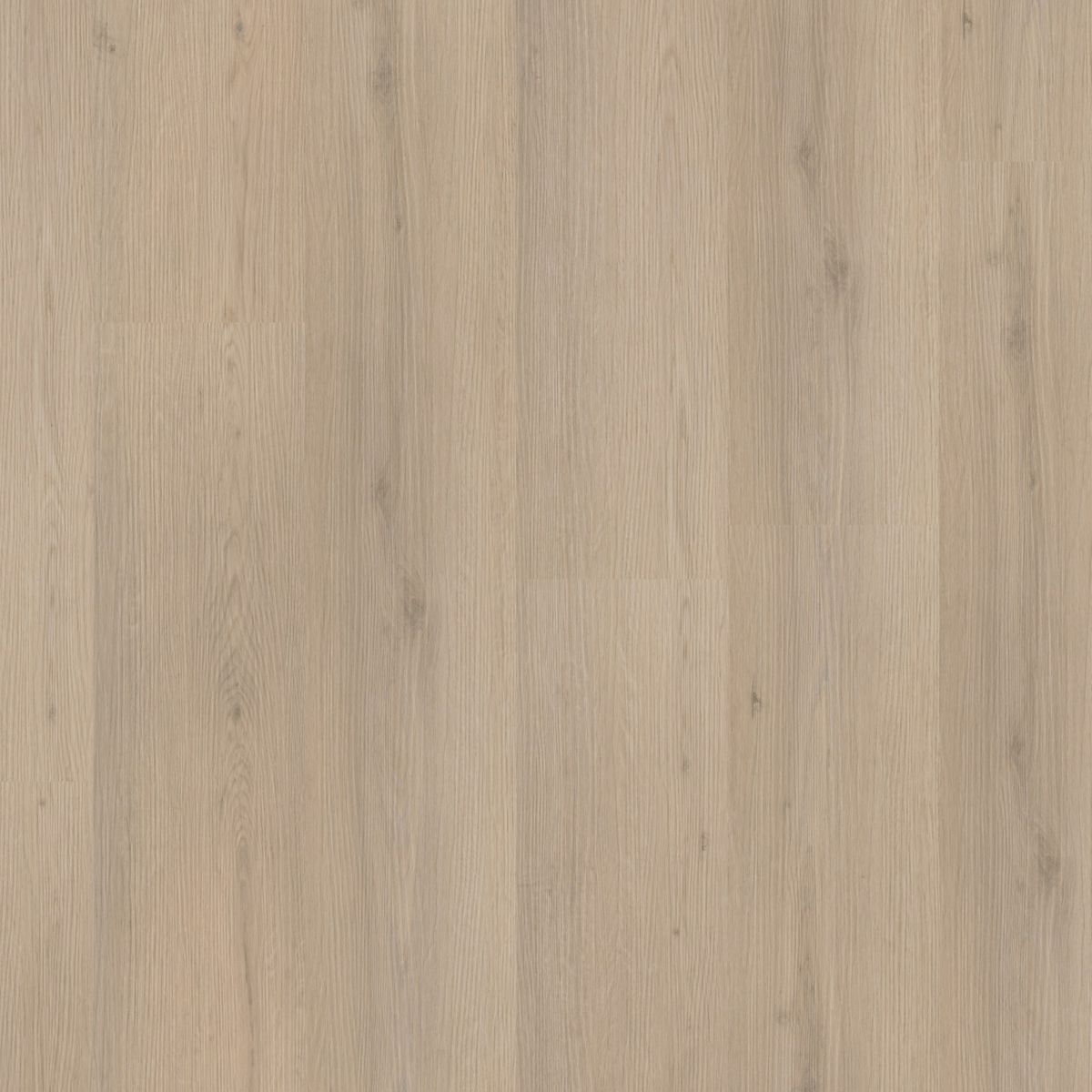 PVC Barnet Collection Beige Dryback 