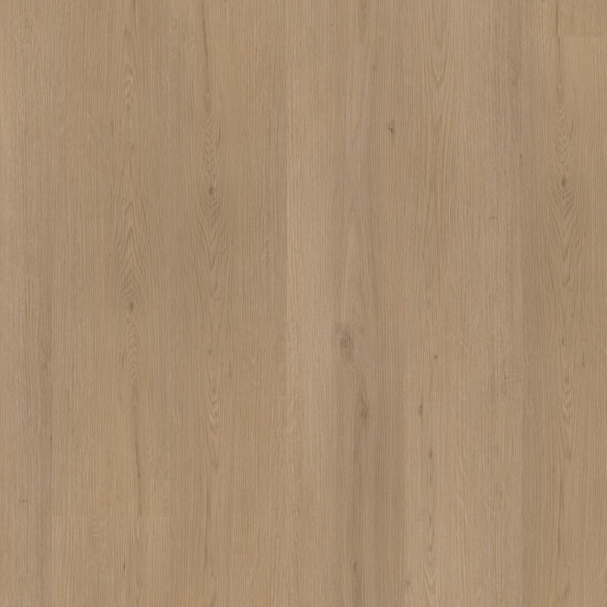 PVC Barnet Collection Naturel Oak Dryback 