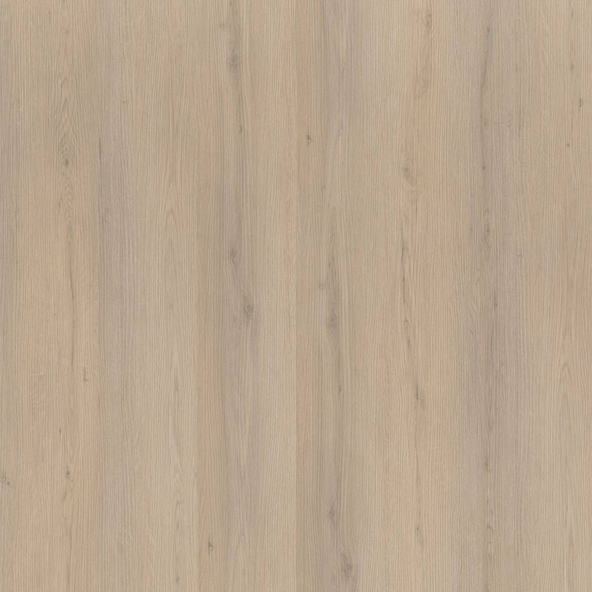 PVC Barnet Collection Beige Silent Rigid Click 