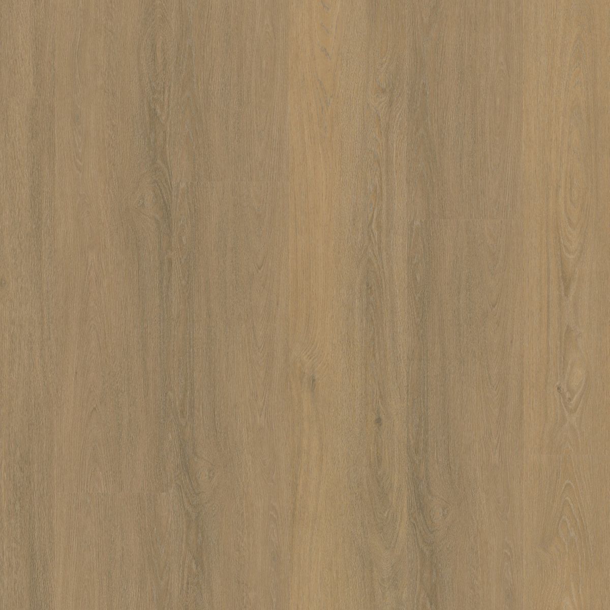 Sutton click SRC warm natural