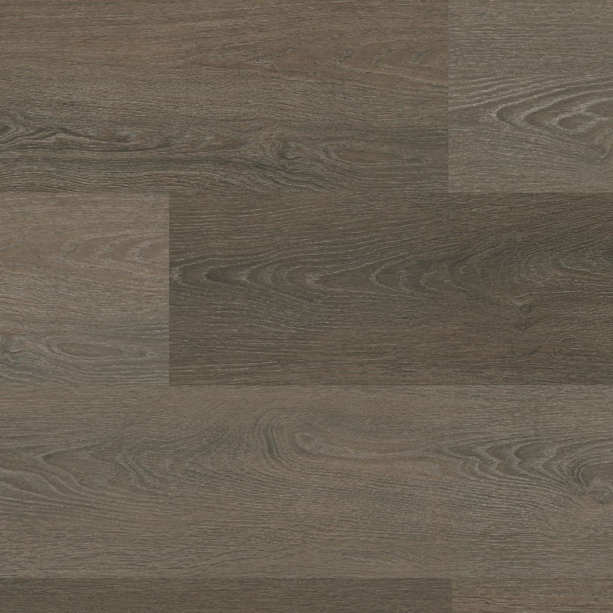 Sutton click SRC brown