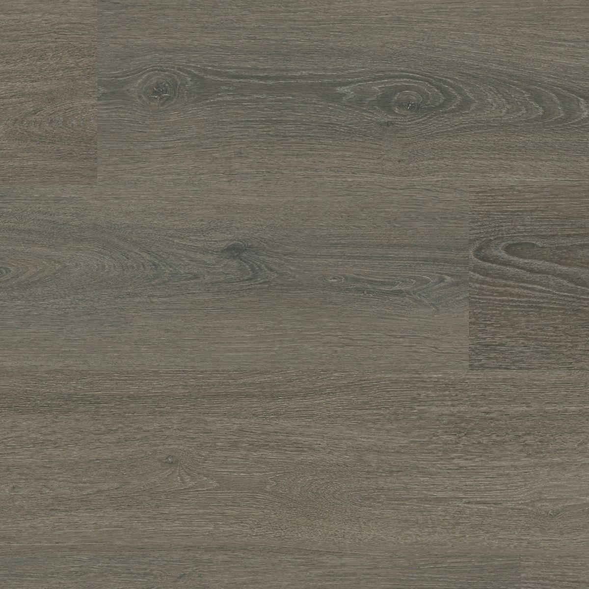 Sutton click SRC brown grey