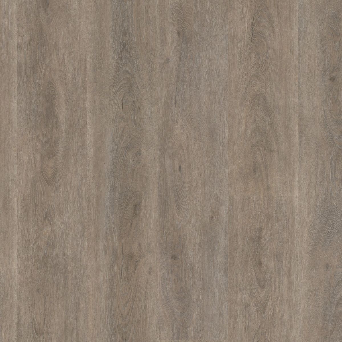 PVC Parramatta Collection Smoky Dryback