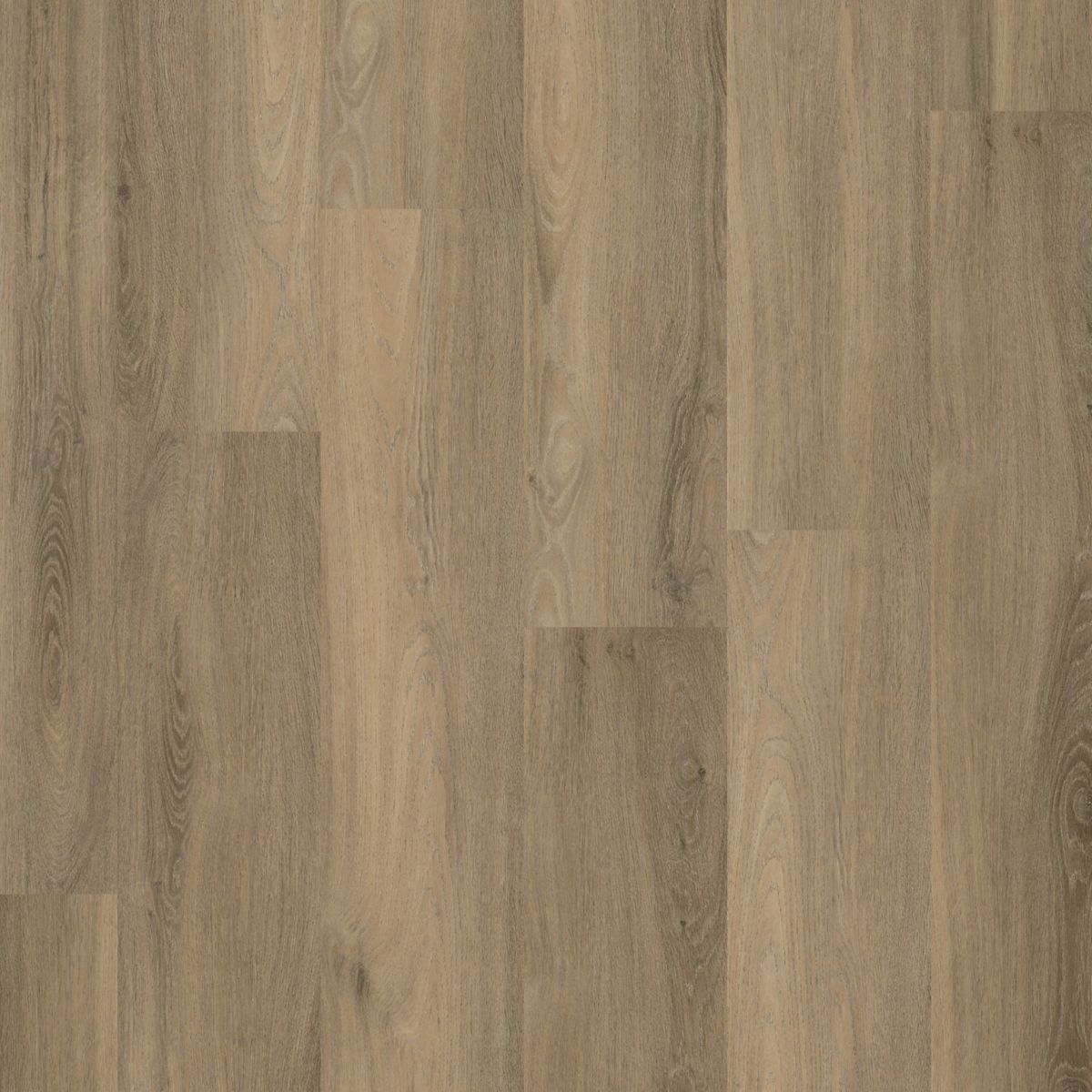 PVC Paddington Collection Smoky Dryback