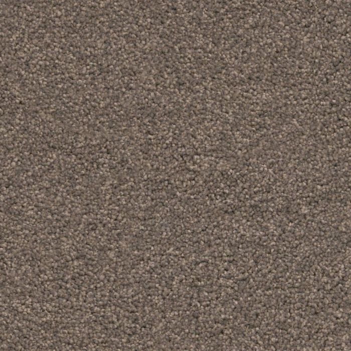 Miami taupe 0535 | 400 cm