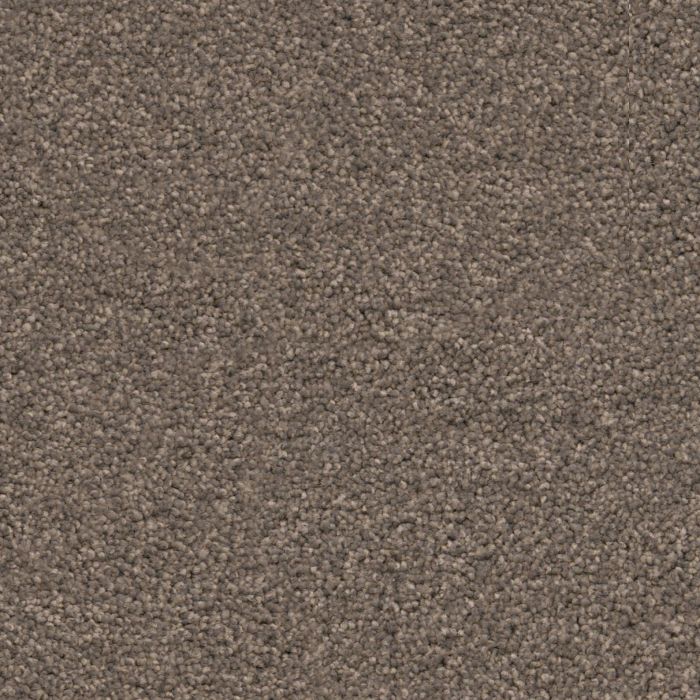 Miami taupe 0535 | 400 cm