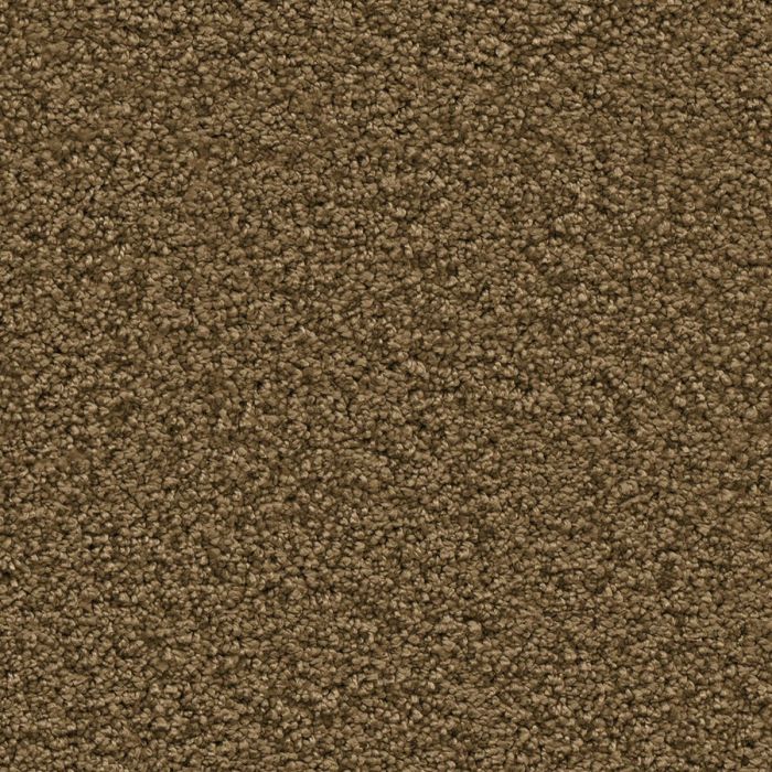 Newberry mosterd 0996 | 400 cm