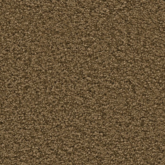 Newberry mosterd 0996 | 400 cm