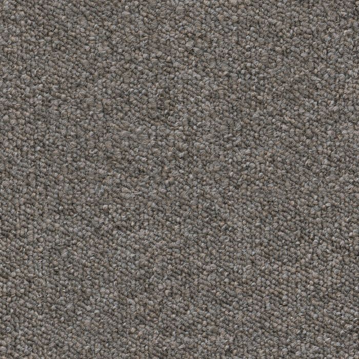 Scottsdale greige 0195 | 400 cm