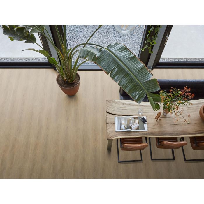 PVC Parramatta Collection Natural Oak Dryback