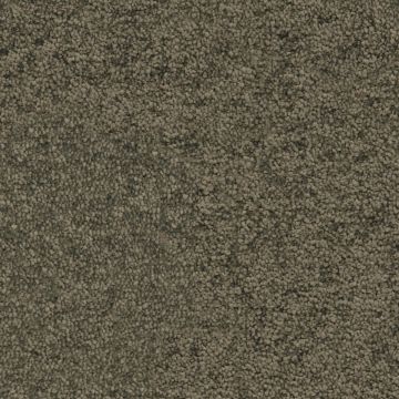 Maryland olijf 0921 | 400 cm