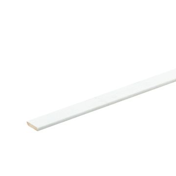 Plakplint Bianco 6551