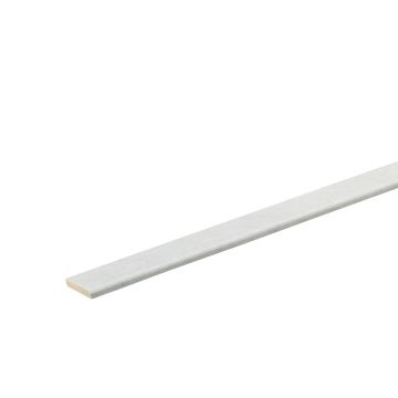 Co-pro watervaste plakplint zilver 9935