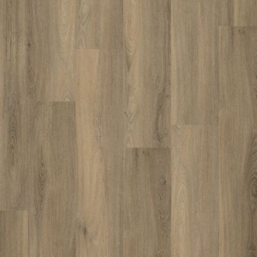PVC Paddington Collection Smoky Dryback